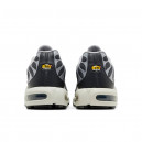 Nike Air Max Plus Iron Grey DZ2655-001