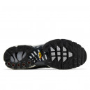 Nike Air Max Plus Iron Grey DZ2655-001