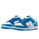 Nike SB Dunk Low x Born x Raised FN7819-400