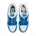 Nike SB Dunk Low x Born x Raised FN7819-400