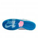Nike SB Dunk Low x Born x Raised FN7819-400