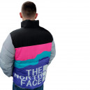 Пуховик Унісекс The North Face 1996 Retro Nuptse Jacket 700