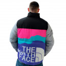 Пуховик Унісекс The North Face 1996 Retro Nuptse Jacket 700