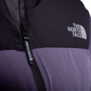 Пуховик Унісекс The North Face 1996 Retro Nuptse Jacket 700