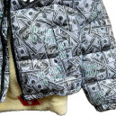 Пуховик Унісекс The North Face 1996 Retro Nuptse Jacket