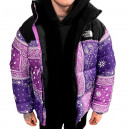 Пуховик Унісекс The North Face 1996 Retro Nuptse Jacket