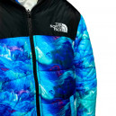 Пуховик Унісекс The North Face 1996 Retro Nuptse Jacket
