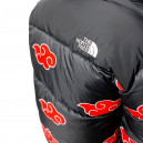 Пуховик Унісекс The North Face 1996 Retro Nuptse Jacket