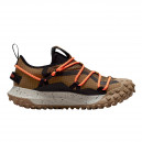 Nike ACG Mountain Fly Low Gore-Tex Hazel Rush DD2861-200