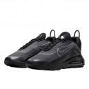 Nike Air Max 2090 Black Wolf Grey BV9977-001
