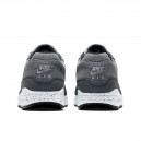 Nike Air Max 1 Wolf Grey Dark Grey AO1021-002