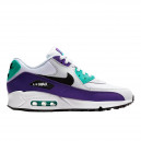 Nike Air Max 90 Grape AJ1285-103