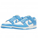 Nike Dunk Low Coast DD1503-100
