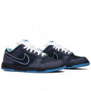 Nike SB Dunk Low Concepts Blue Lobster 313170-342