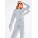 Рашгард Сірий