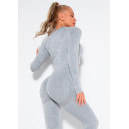 Рашгард Сірий