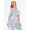 Рашгард Сірий